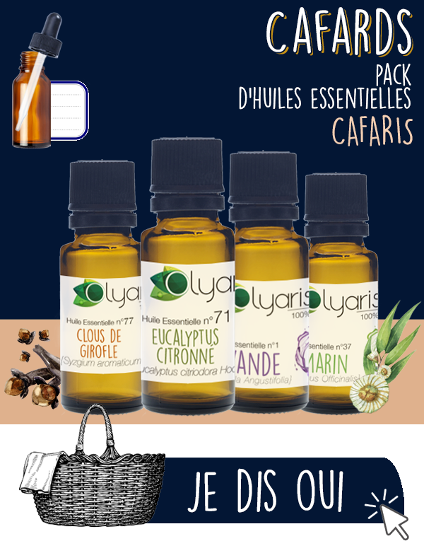 Répulsif Anti-Cafards : Les Huiles Essentielles à Utiliser par Olyaris